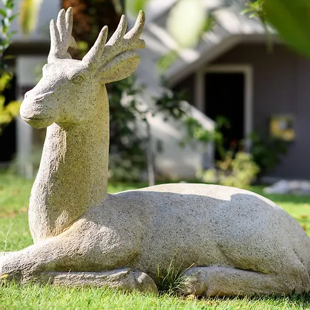 Alexandra Ποτός