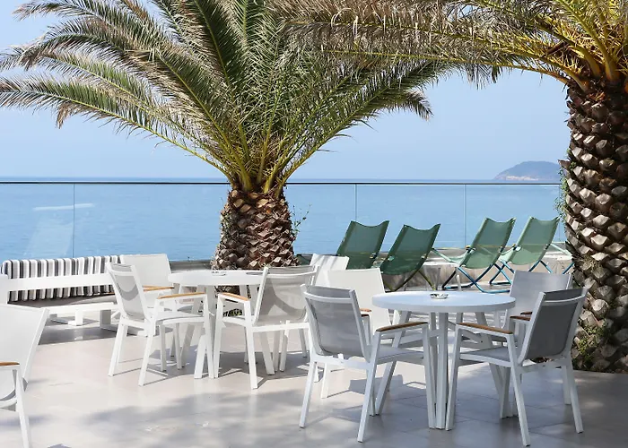 Alexandra 4* ポトス